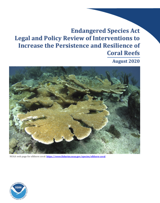 ESA Legal and Policy Review pdf cover